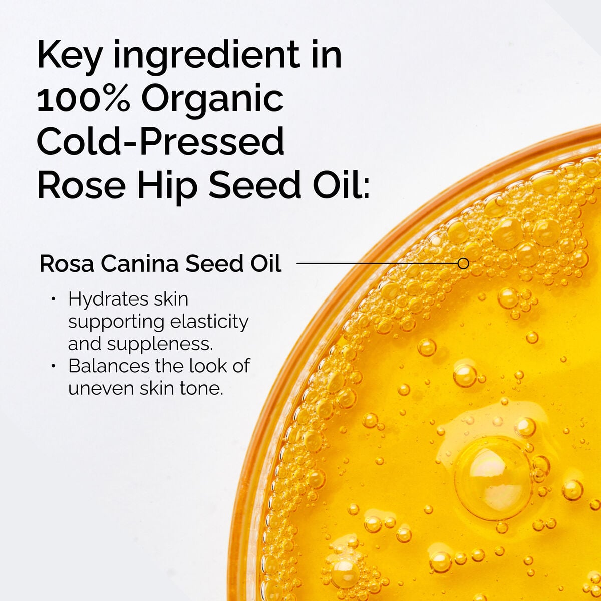 100-organic-cold-pressed-rose-hip-seed-oil-n8 FY25-D41247-ORD-Web-PDP-100-Rose-Hip-Oil-1x1-EN-2.jpg