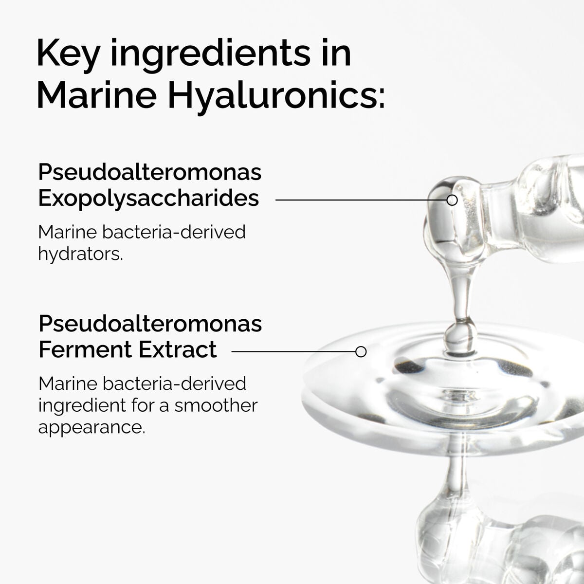 marine-hyaluronics-x1 FY25-D41247-ORD-Web-PDP-Marine-Hya-1x1-EN-2a.jpg