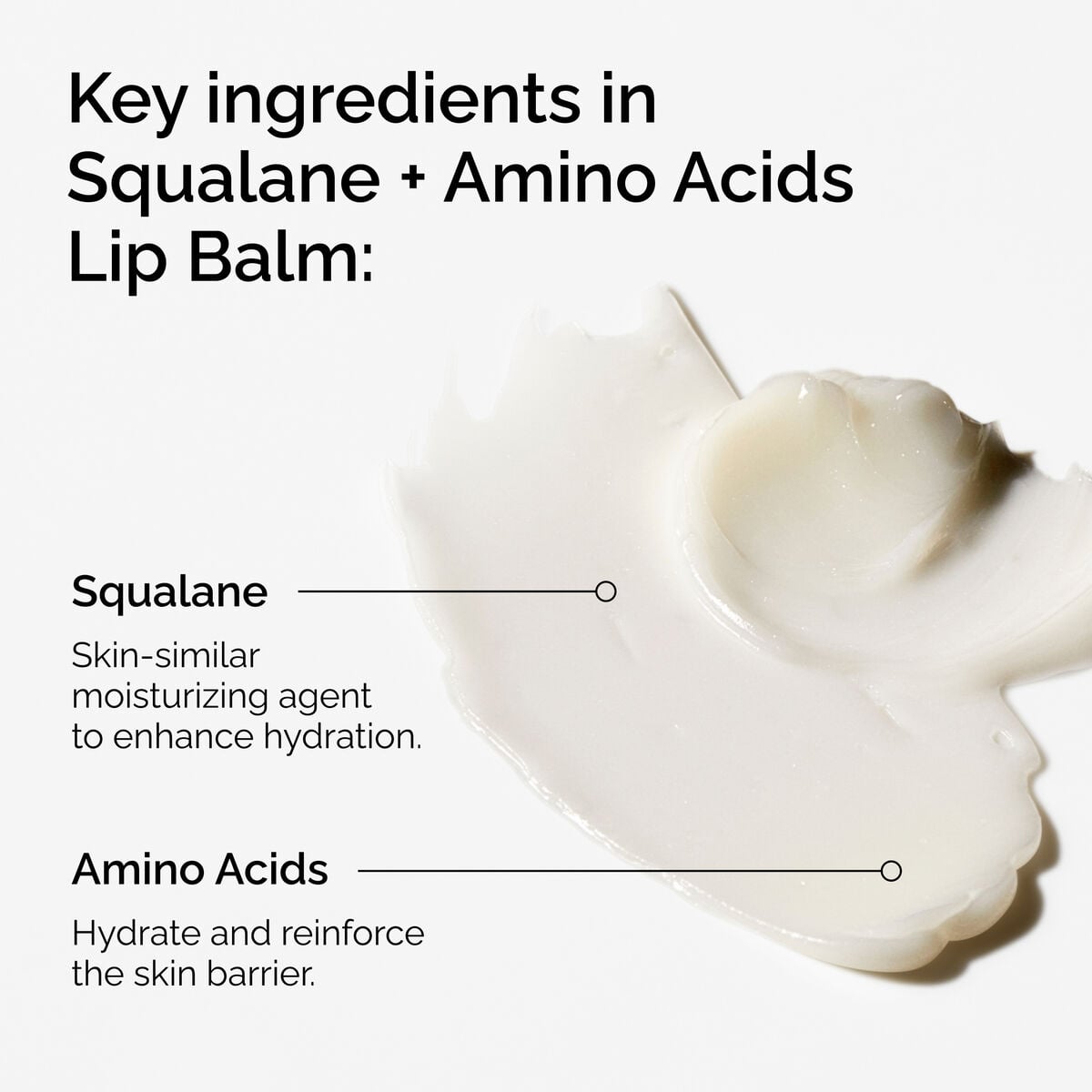 squalane-amino-acids-lip-balm-j2 FY25-D41247-ORD-Web-PDP-Sql-Amino-Lip-1x1-EN-2a.jpg