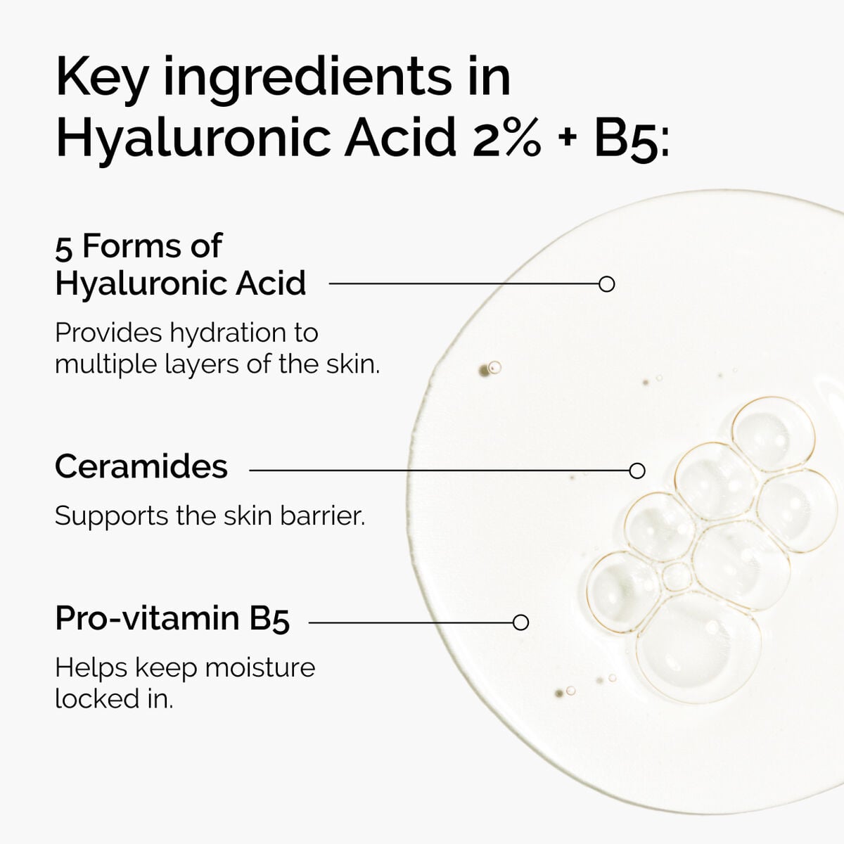 hyaluronic-acid-2-b5-with-ceramides-v3 ord-hyaluronic-acid-2pct-b5-hydrating-serum-ingredients-graphic.jpg