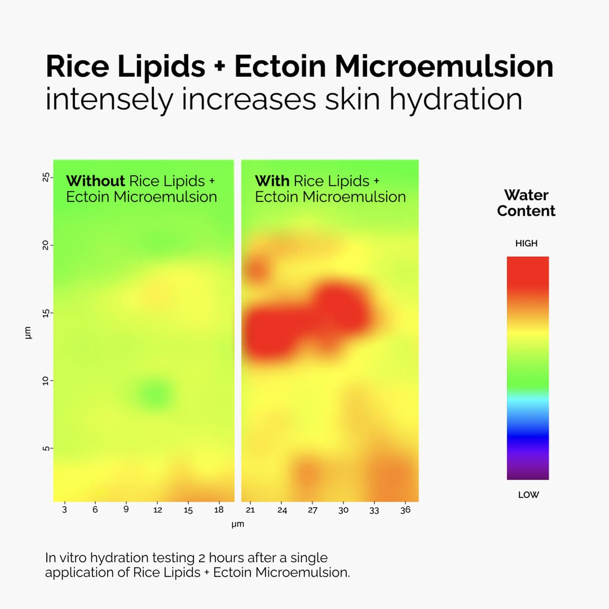rice-lipids-ectoin-microemulsion-o1 ord-rice-lipids-ectoin-microemulsion-thermal-before-after.jpg